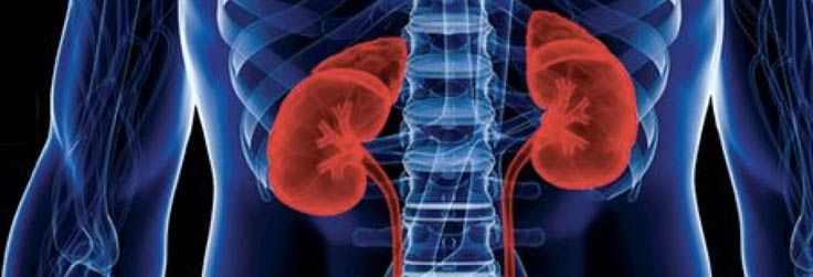 Laurel Health – Care About Your Kidneys