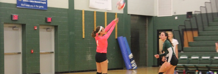Lady Hornets top Canton in 3 sets