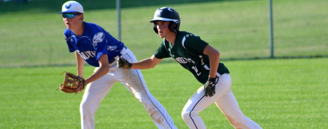 Hornets fall to South Williamsport in D4 title game
