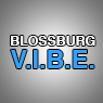 BLOSSBURG AREA VIBE