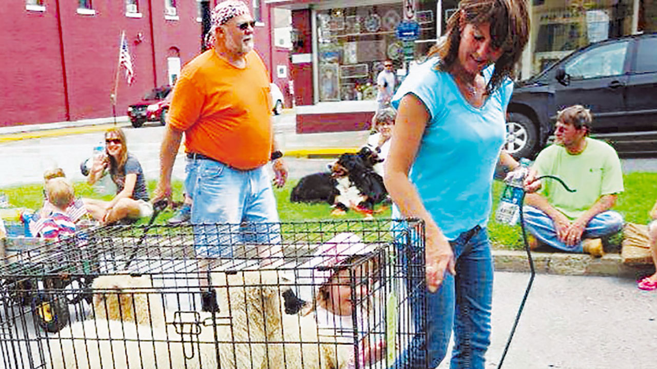 Laurel Festival Pet Parade is Sunday, June 12