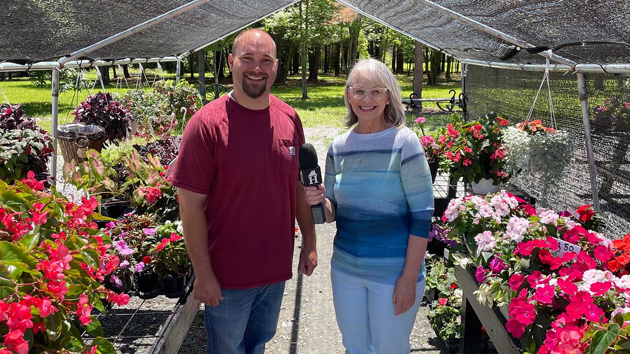 Martin’s Roadside Stand: From Honor Box, To Blooming Business