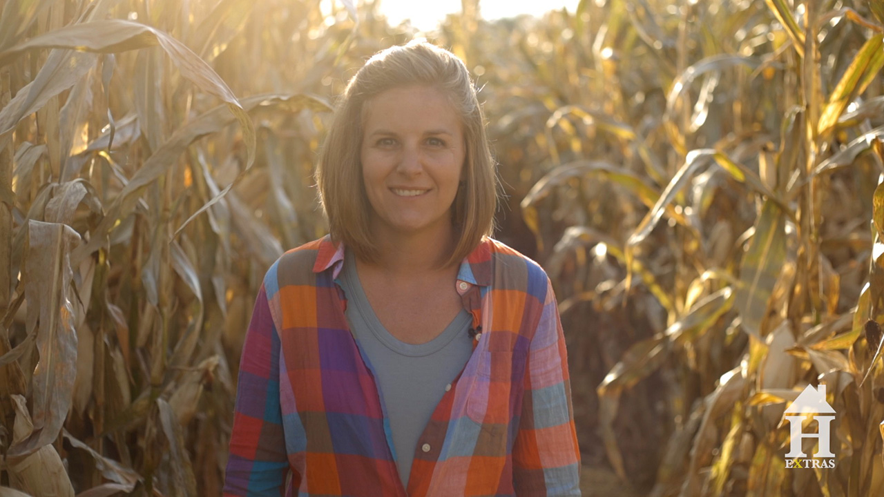 From Dairy To Seeds To Maze, This Is How Sugar Branch Farms Succeeds!