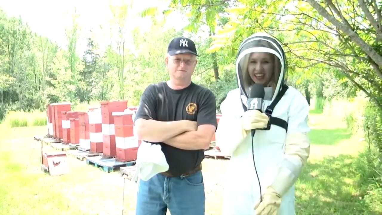 Memories of Draper’s Super Bees